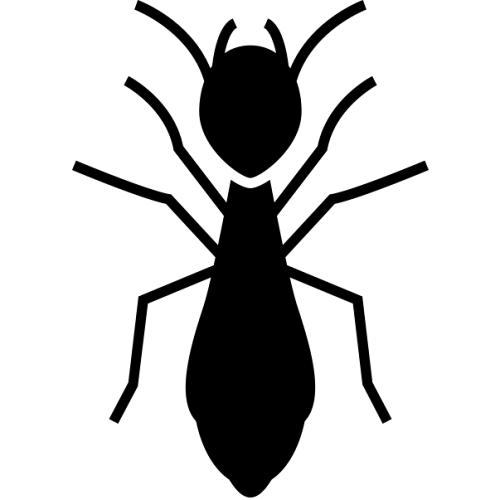 Termite control and extermination services